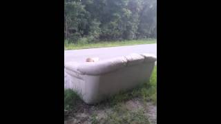 Rat boy caught on tape 3 times