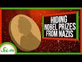 Hiding a Nobel Prize From the Nazis Hiding a Nobel Prize From the Nazis