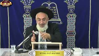 איזו בקשה של אברהם טמונה בשם המקום "ה' יראה"? ¤ הרב יאיר יחזקאל ¤ ח"י חשון תשפ"ו (9.11.2025) (מוסדות תורת דוד) - התמונה מוצגת ישירות מתוך אתר האינטרנט יוטיוב. זכויות היוצרים בתמונה שייכות ליוצרה. קישור קרדיט למקור התוכן נמצא בתוך דף הסרטון