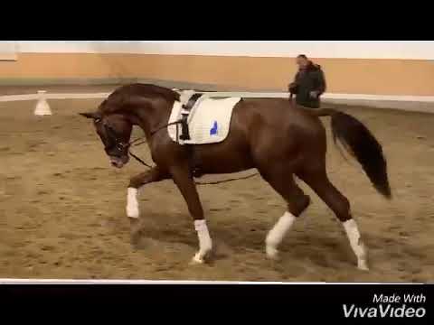 Sir Heinrich   Diamond Hit