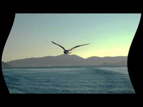 L'albatro  Marracash-D'argen D'amico-Rancore