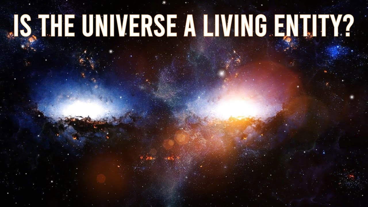 Universal Brain - Is the Universe a Living Entity?