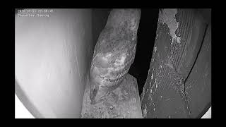 1er envol... et retour !