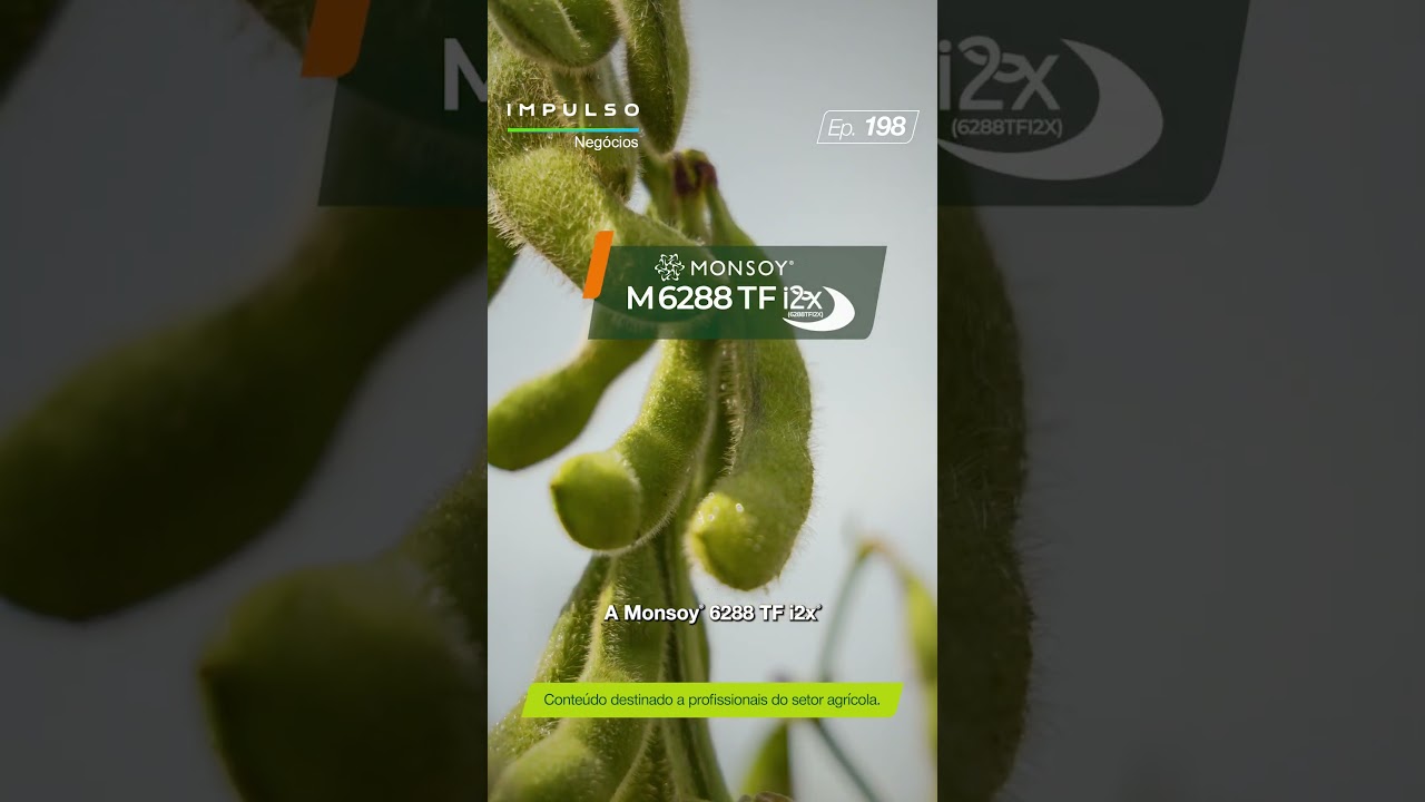Conheça o lançamento da Monsoy: M 6288 TF i2x | Teaser Impulso Negócios