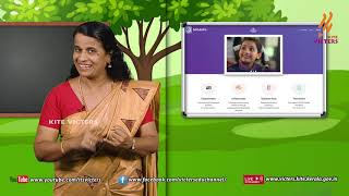 Standard 4 | Environmental Study | Class – 02