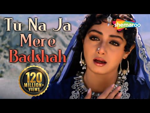 Khuda Gawah - Tu Na Ja Mere Badshah - Mohd Aziz - Alka Yagnik