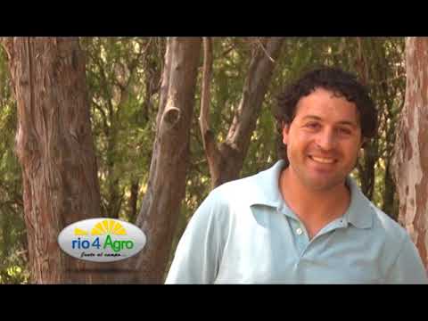 PROGRAMA RIO 4 AGRO  JUEVES 27 12 BLOQUE 1