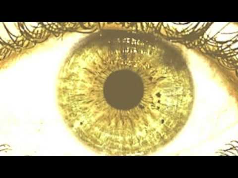 Emilodioes - 99 Problems (Remake/Retuned)