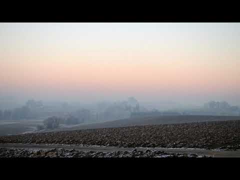 Clara Müller-Jahnke: Wintersaat