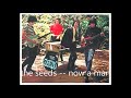 THE SEEDS --- NOW A MAN