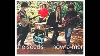 THE SEEDS --- NOW A MAN