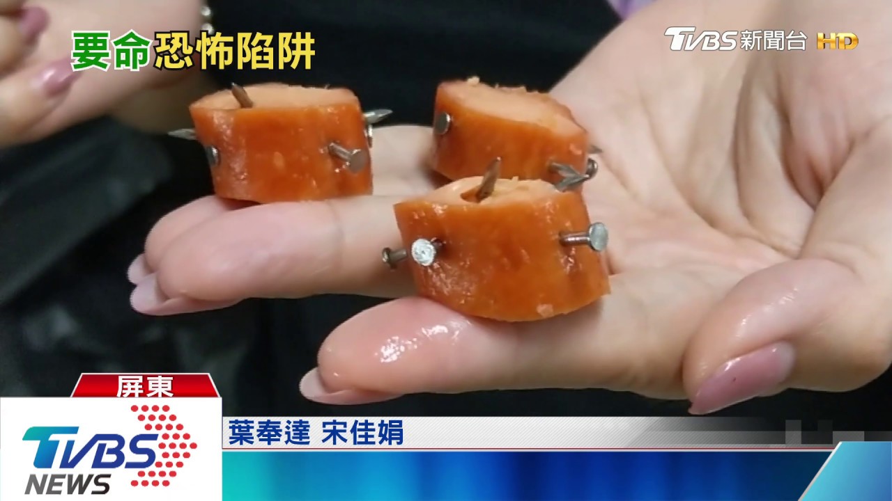 太狠心!熱狗插滿鐵釘 疑惡意吸引貓狗誤食