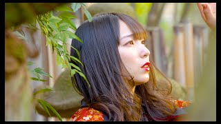 [MV]百花繚乱 / 戦国アニマル極楽浄土