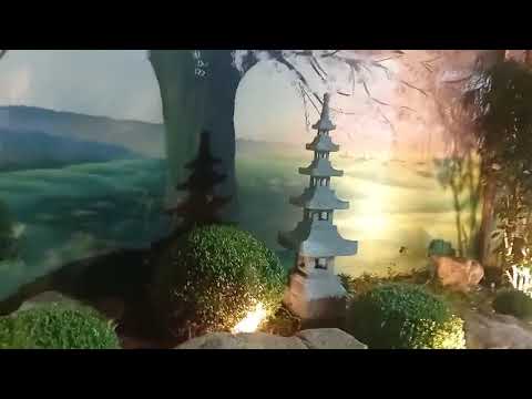 Graal Petropen Jardim Japonês.  Pariquera Açu Sp