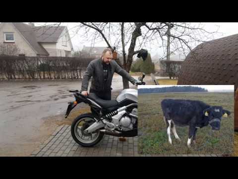 Kawasaki Versys 650cc, enduro / adventure
