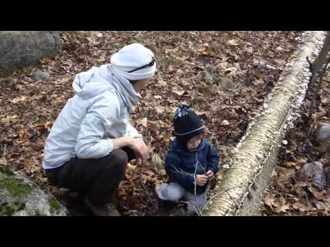 Tanner's Brook, Lincoln, MA