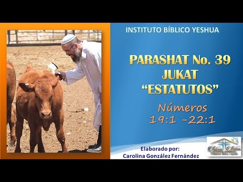 Resumen Estudio de la semana, Parashá N°39 Jukat/Estatutos