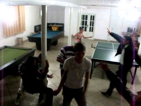 pinguinii din ingaresti3