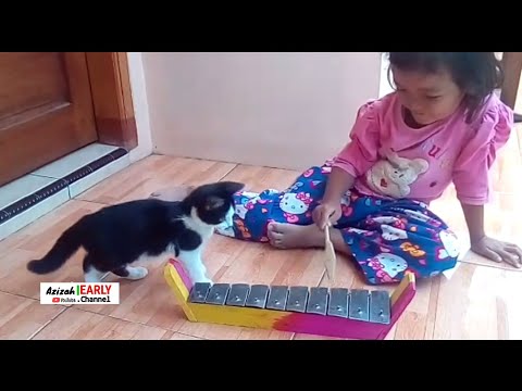 PLAYING TRADITIONAL MUSICAL INSTRUMENTS WITH MY CAT "EULU" | KUCING SO SWEET