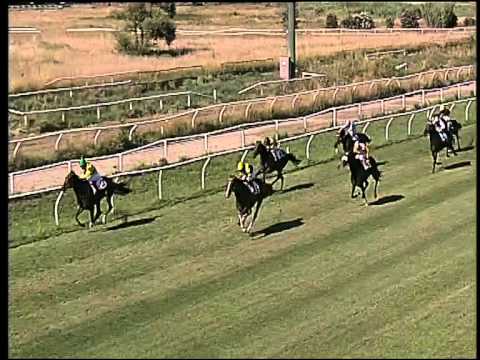 Galoppo 19/06/2015 - 3° corsa