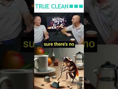 How do we prevent cockroach infestations #shorts #pestcontrol