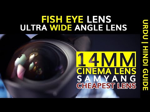 Video thumbnail for Video Review 2