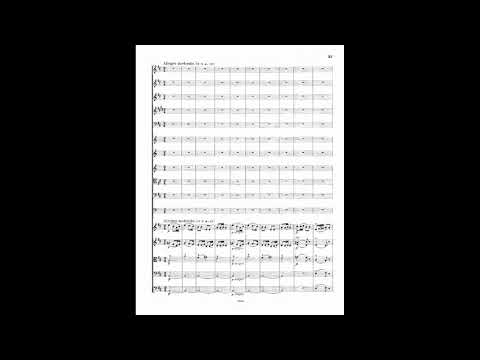 [Robert Kajanus] Finnish Rhapsody No.1 in D minor, Op. 5 (Score-Video)