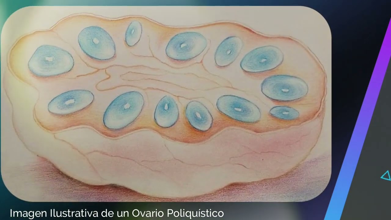 Eyder Burbano Adrada-1