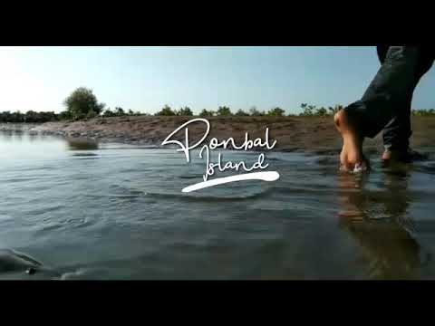 Bonfire - Cursed (Cinematic)