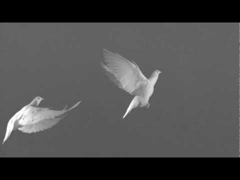 Video thumbnail for EQUIVOCAL