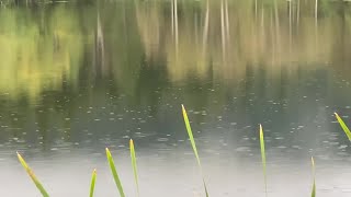 Weather Wise: Montana fire season-ending storms
