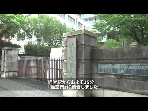 経堂駅から東京農業大学まで歩いてみよう