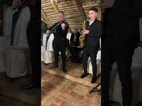 Sergiu Fetescu și Formația LiveTrio (Zi de naștere Manole)