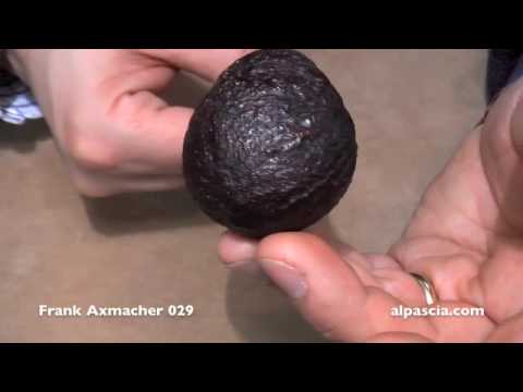 pipa Frank Axmacher 029 - tobacco pipe