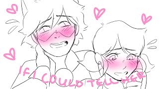 "If I Could Tell Her" || Dear Evan Hansen [Miraculous Ladybug Animation Complete]