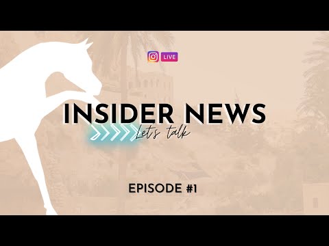 𝐈𝐍𝐒𝐈𝐃𝐄𝐑 𝐍𝐄𝐖𝐒 - Episode 1