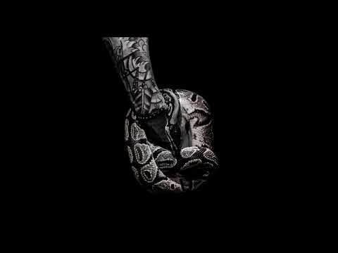 Turn your TV into a frame | Art (for your) TV | 4k snake tattoo arm - black/white