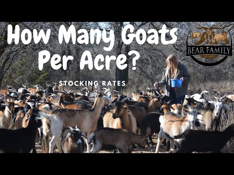 How Many Goats Per Acre?