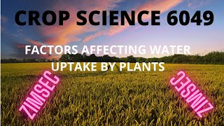 FACTORS AFFECTING WATER UPTAKE BY PLANTS