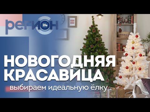 Регион LIFE | Выбираем идеальную ёлку | ОТС LIVE — прямая трансляция