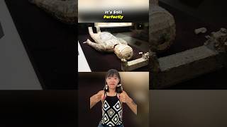 Download lagu The Secret Way Chinese Emperors Stayed Preserved #history #chinesehistory #emperor #didyouknow mp3