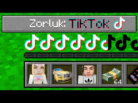 TİKTOK ZORLUK SEVİYESİ! 🎵🦸‍♂️ - Minecraft