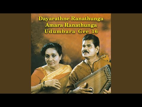 Sadak Sadisi (SUNFLOWER)