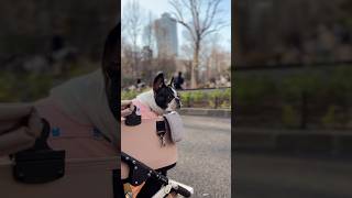 早咲きの桜に大興奮❤️ただテンション上がったのも束の間…最後に待ち受けていたのは残酷な現実😭