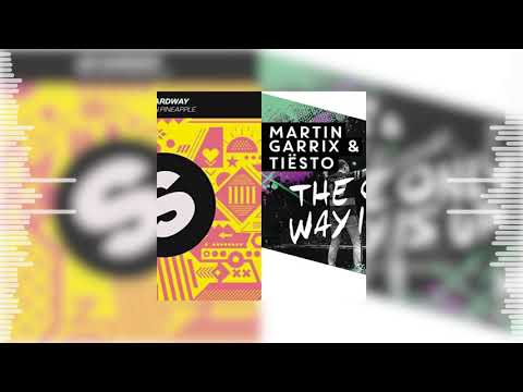 THE ONLY WAY IS PINEAPPLE - Martin Garrix & Tiesto vs Jay Hardway(SoundWave Mashup)