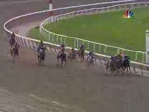 2005 Breeders' Cup Distaff