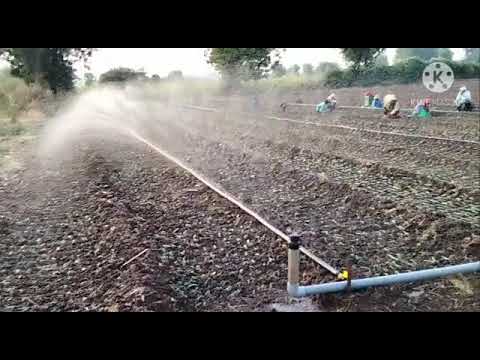 Vision agritech black and yellow 40mm rain pipe fitting, for...