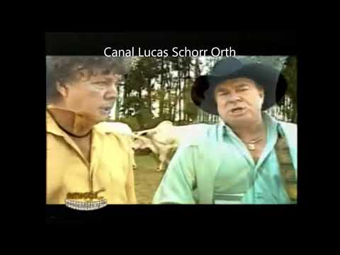 Campeão do Milênio - Teodoro e Sampaio