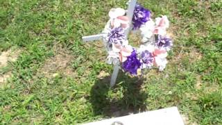 Afternoon at the City Cemetery