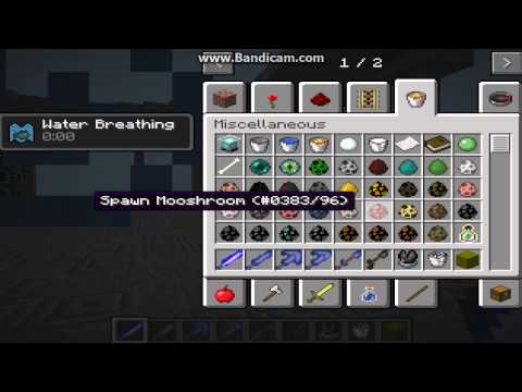 Minecraft Mod Showcase: DERPY SQUID MOD!